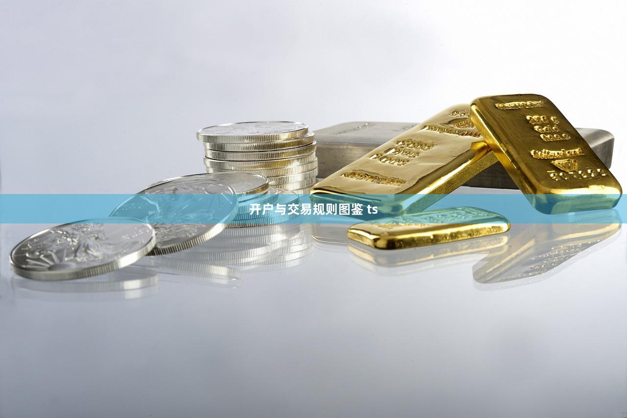 开户与交易规则图鉴 ts