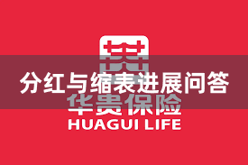 分红与缩表进展问答