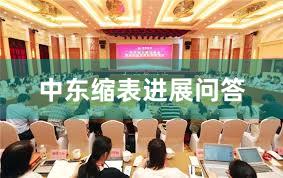 中东缩表进展问答